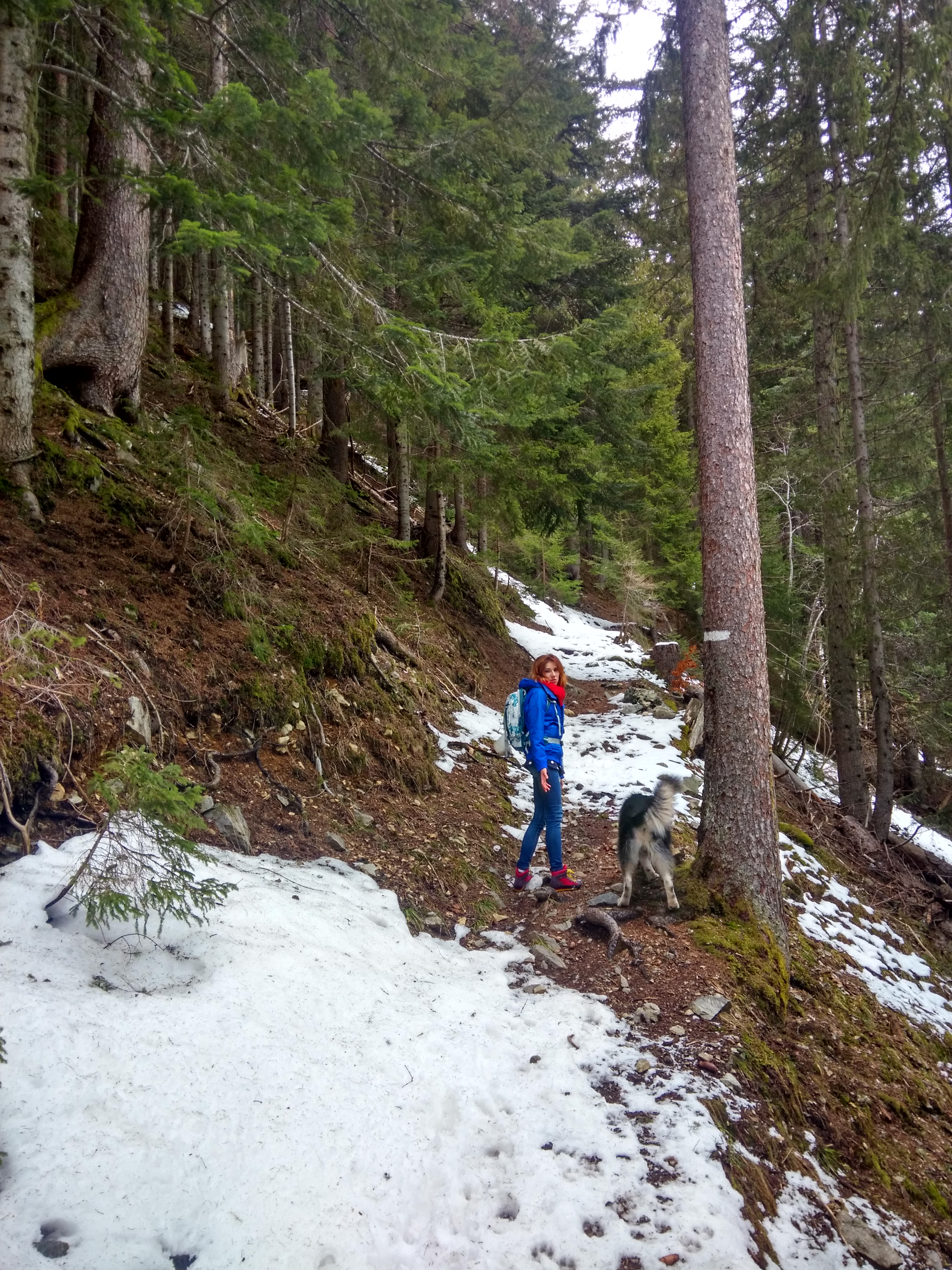 Зимня прогулянка в Альпи
