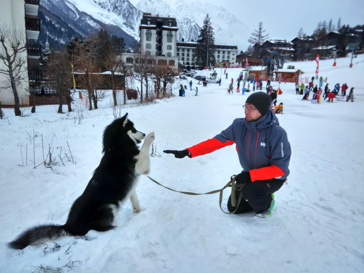 High five!